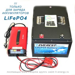 Everest Energy 24v 60A  LFP