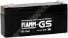 Fiamm FG 10301