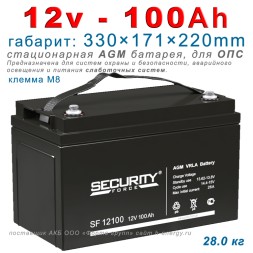 Security Force SF 12100