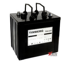 Timberg T06185 6v 185ah (4PzS185)