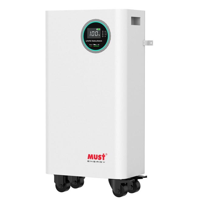 Must LP16-48100  (51.2В, 100 Ач, LiFePO4)