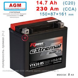 RDrive Silver YTX16-BS