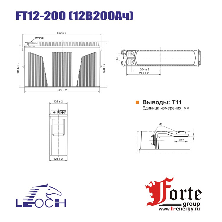 Leoch FT 12-200