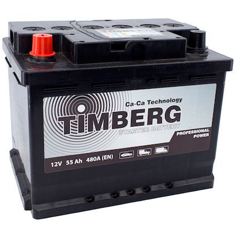 6СТ-55VL Timberg Professional Power 55Ah L 480A