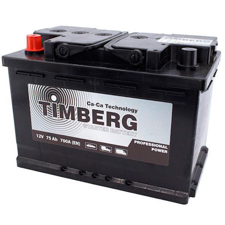 6СТ-75VL Timberg Professional Power 75Ah L 700A