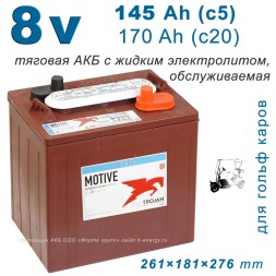 Trojan T875 (8v 145/170ah)