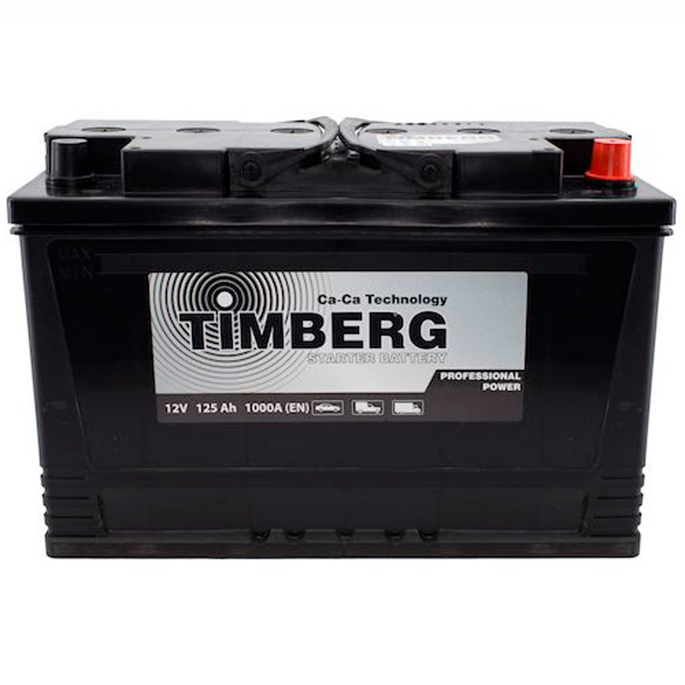 6СТ-125VL Timberg Professional Power 125Ah R 1000A