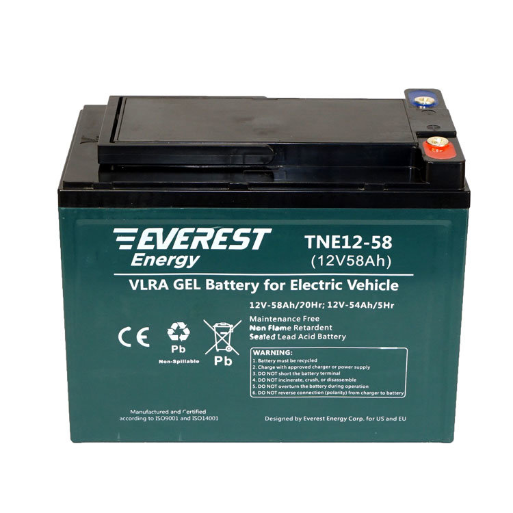 Everest TNE 12-58 тяговая батарея