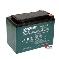 Everest TNE 12-58 (6-EVF-52)