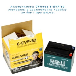 Chilwee 6-EVF-52
