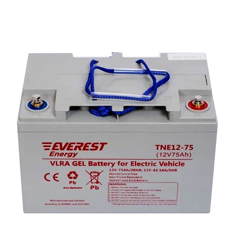 аккумулятор Everest TNE12-75