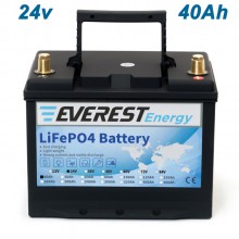 Everest LFP-24V 40Аh