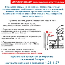 DELTA EV 8-140 (8v : 140/160 Ah)