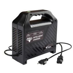 Charger 60v 6A  RuTrike
