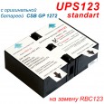 Батарейный картридж UPS123 Standart