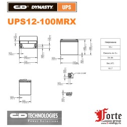 UPS12-100MRX C&amp;amp;D DYNASTY