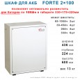 Шкаф для АКБ Форте 2х100 