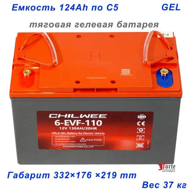 Chilwee 6-EVF-110 BG