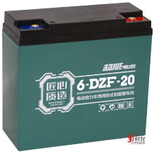 Chilwee 6-DZM-20