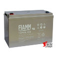 Fiamm 12FGL100