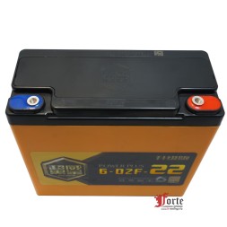 Chilwee 6-DZF-22 Black Gold