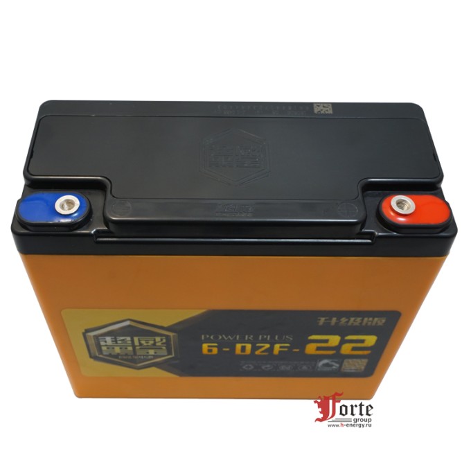 Chilwee 6-DZF-22 Black Gold