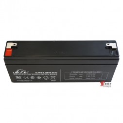 Leoch DJW6-5.0