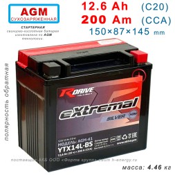 RDrive Silver YTX14L-BS