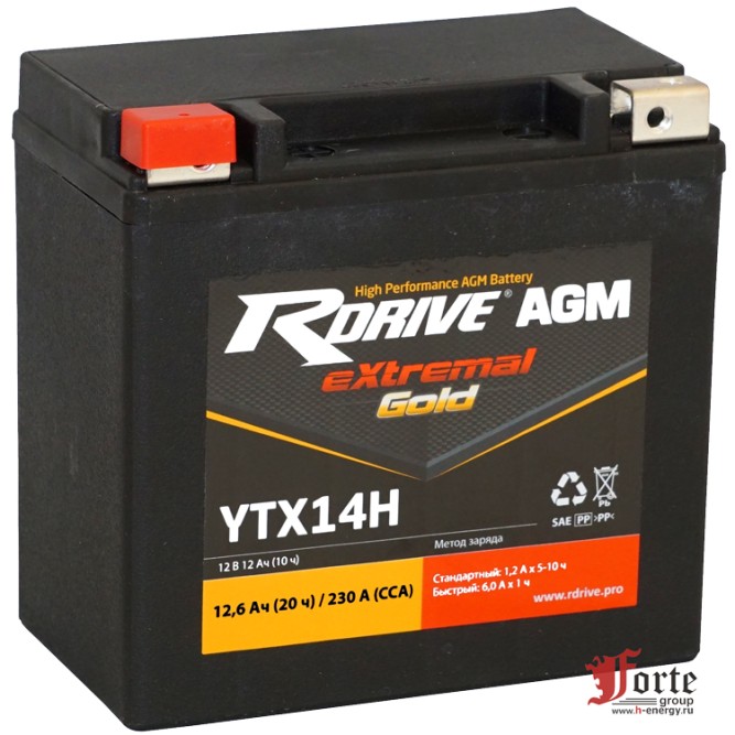 RDrive Gold YTX14H