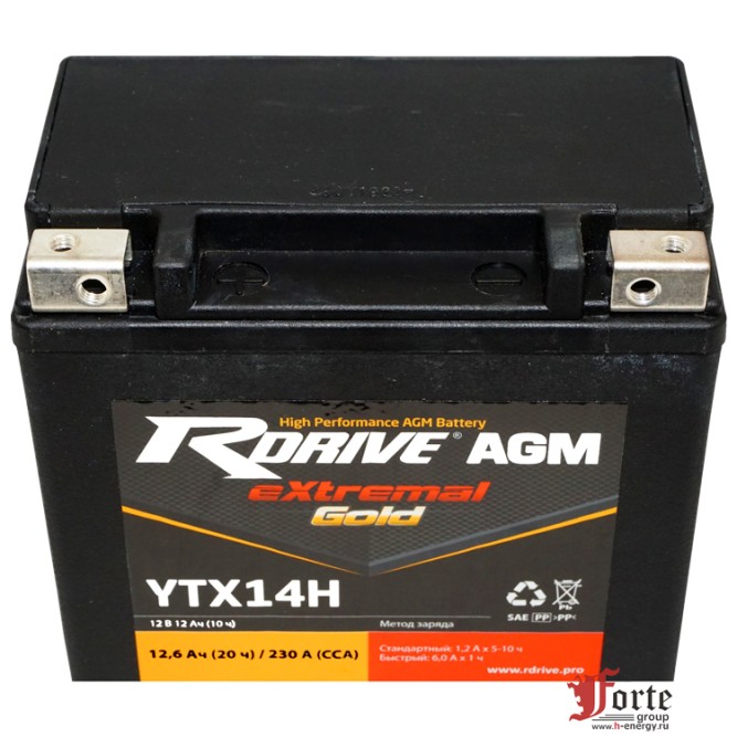 RDrive Gold YTX14H