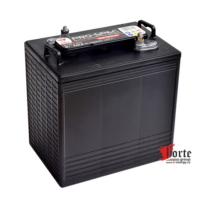 Yuasa Pro-Spec DCB125-6