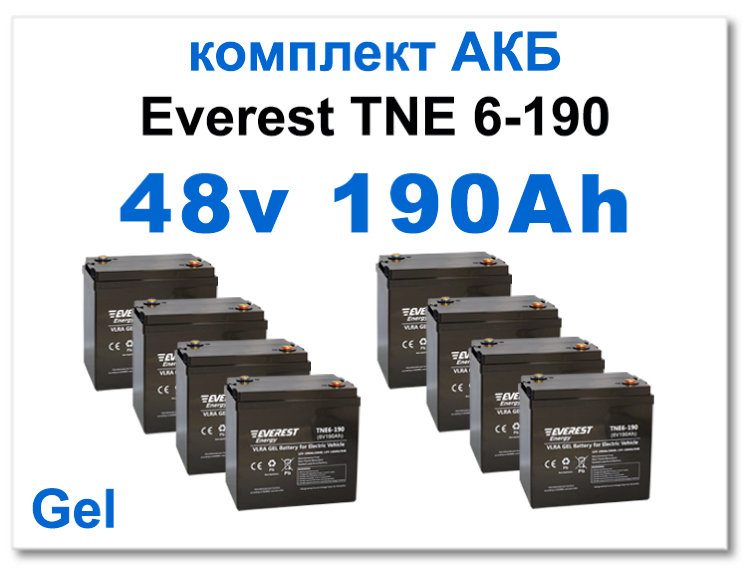 48v 190 Ah Everest комплект тяговых батарей