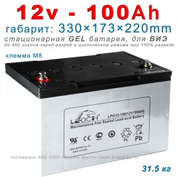 Leoch LPG 12-100