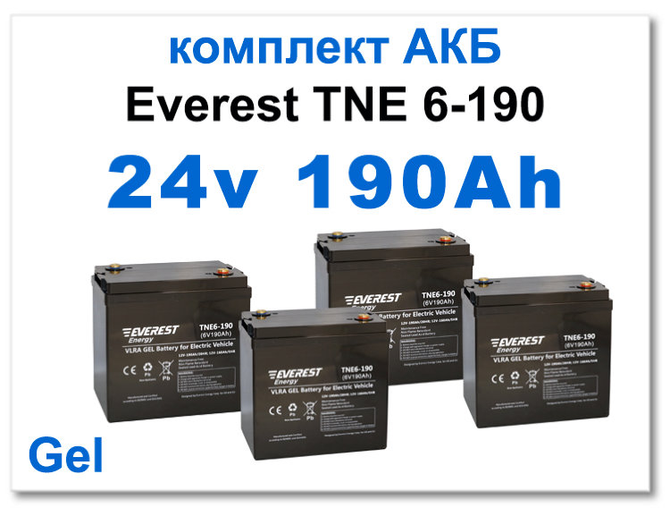 24v 190 Ah Everest комплект тяговых батарей