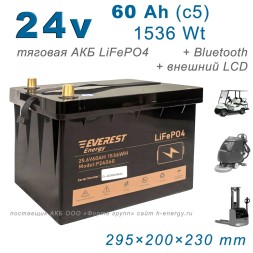 Everest LFP-24V 60Аh - PRO