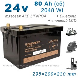 Everest LFP-24V 80Аh PRO