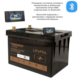 Everest LFP-24V 80Аh PRO