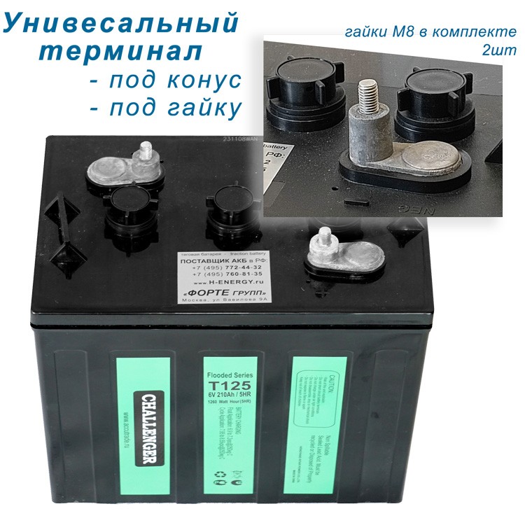 Тяговый аккумулятор Challenger T125 емкость 210Ah 6v