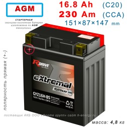 RDRIVE eXtremal Platinum GYZ16H-BS