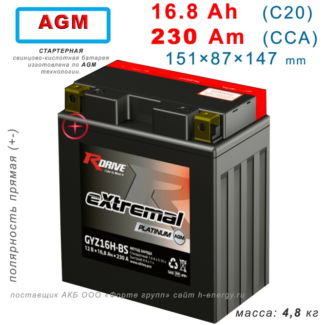 RDRIVE eXtremal Platinum GYZ16H-BS