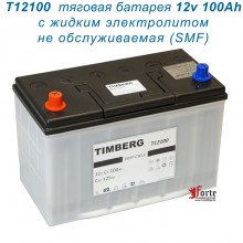 Timberg T12100 12V 100Ah