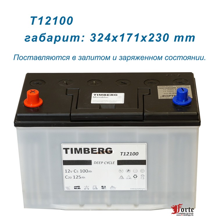 TIMBERG T12100 12V 100Ah тяговая батарея для штабелера