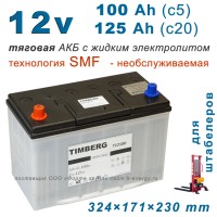 Timberg T12100 12V 100Ah