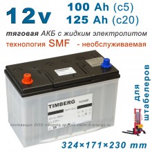 Timberg T12100 12V 100Ah