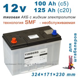 Timberg T12100 12V 100Ah