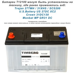 Timberg T12100 12V 100Ah