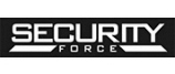 аккумулятор Security Force (SF)